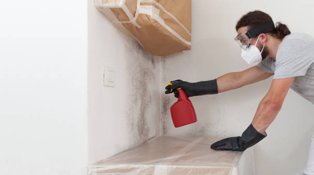 Attic Mold Remediation treatment on roof deck in Lakewood